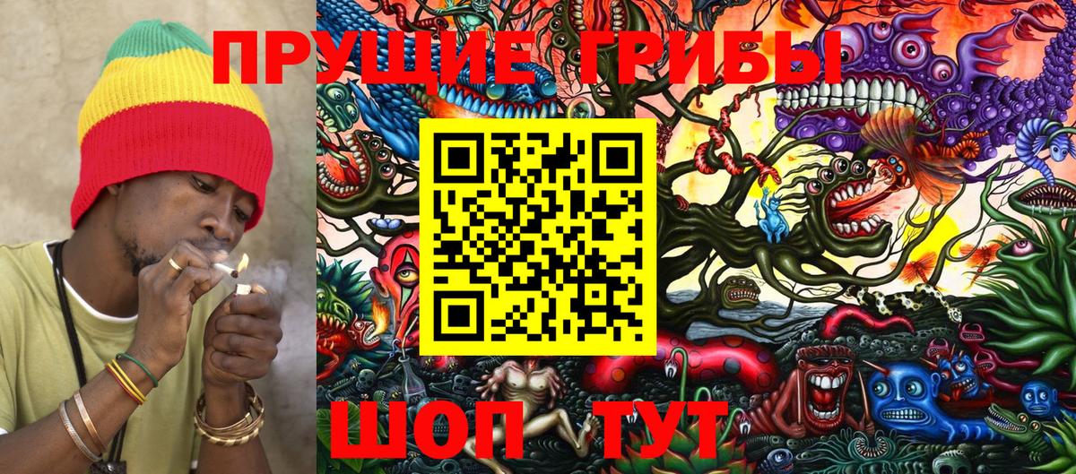 Галлюциногенные грибы GOLDEN TEACHER  Вход с VPN  Калининград 