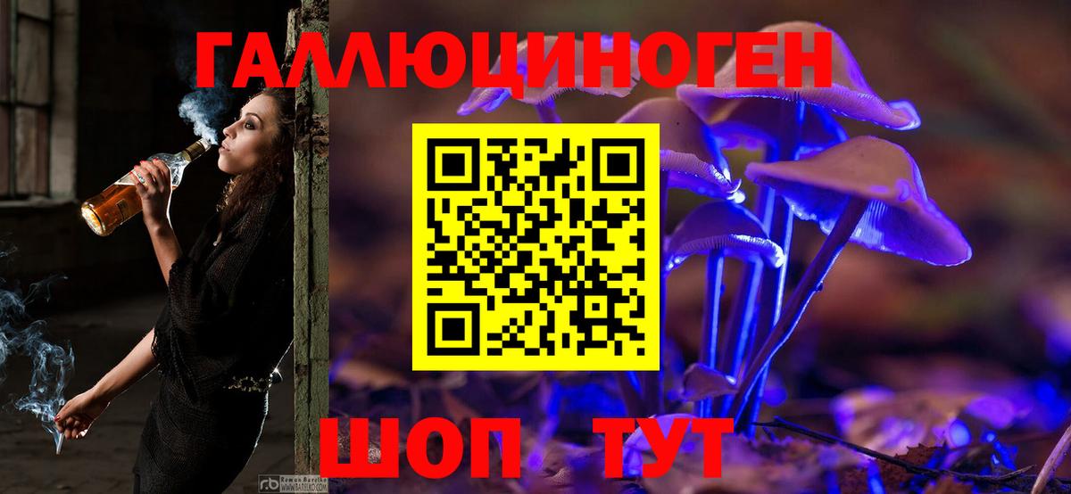 Псилоцибиновые грибы Psilocybine cubensis Калининград